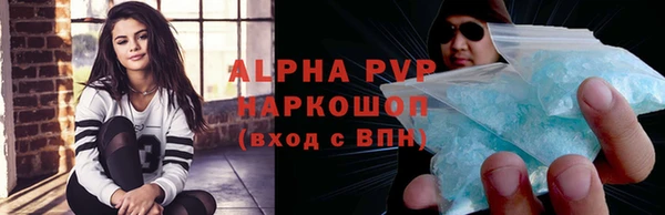 стафф Алексин