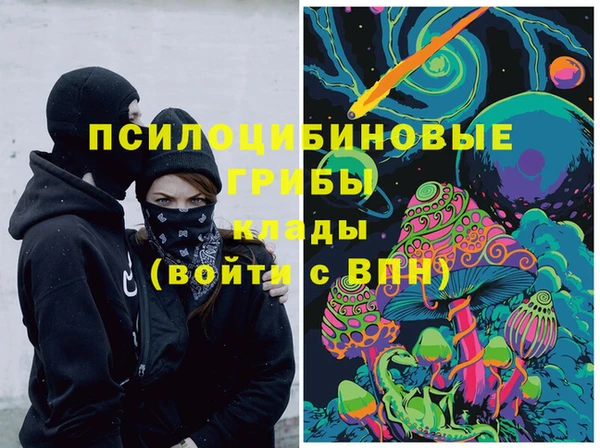 стафф Алексин