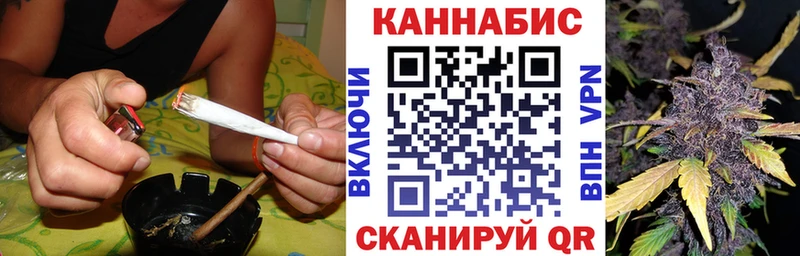 Конопля OG Kush  мега сайт  Мураши 